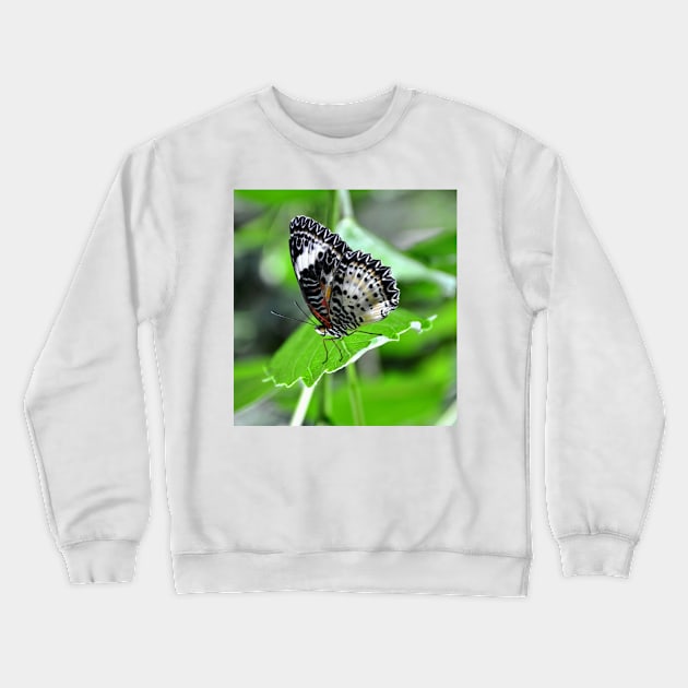 Black and White Butterfly Crewneck Sweatshirt by Scubagirlamy